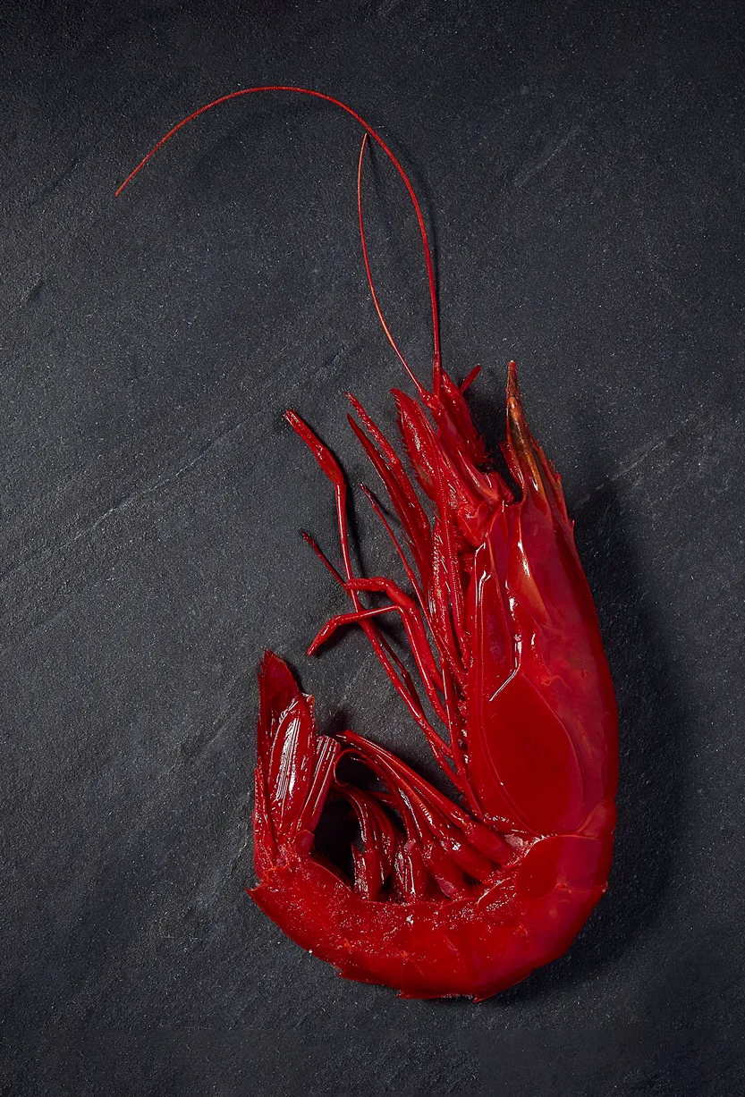 packshot-food-carabineros-prawn-lowlight-nov25