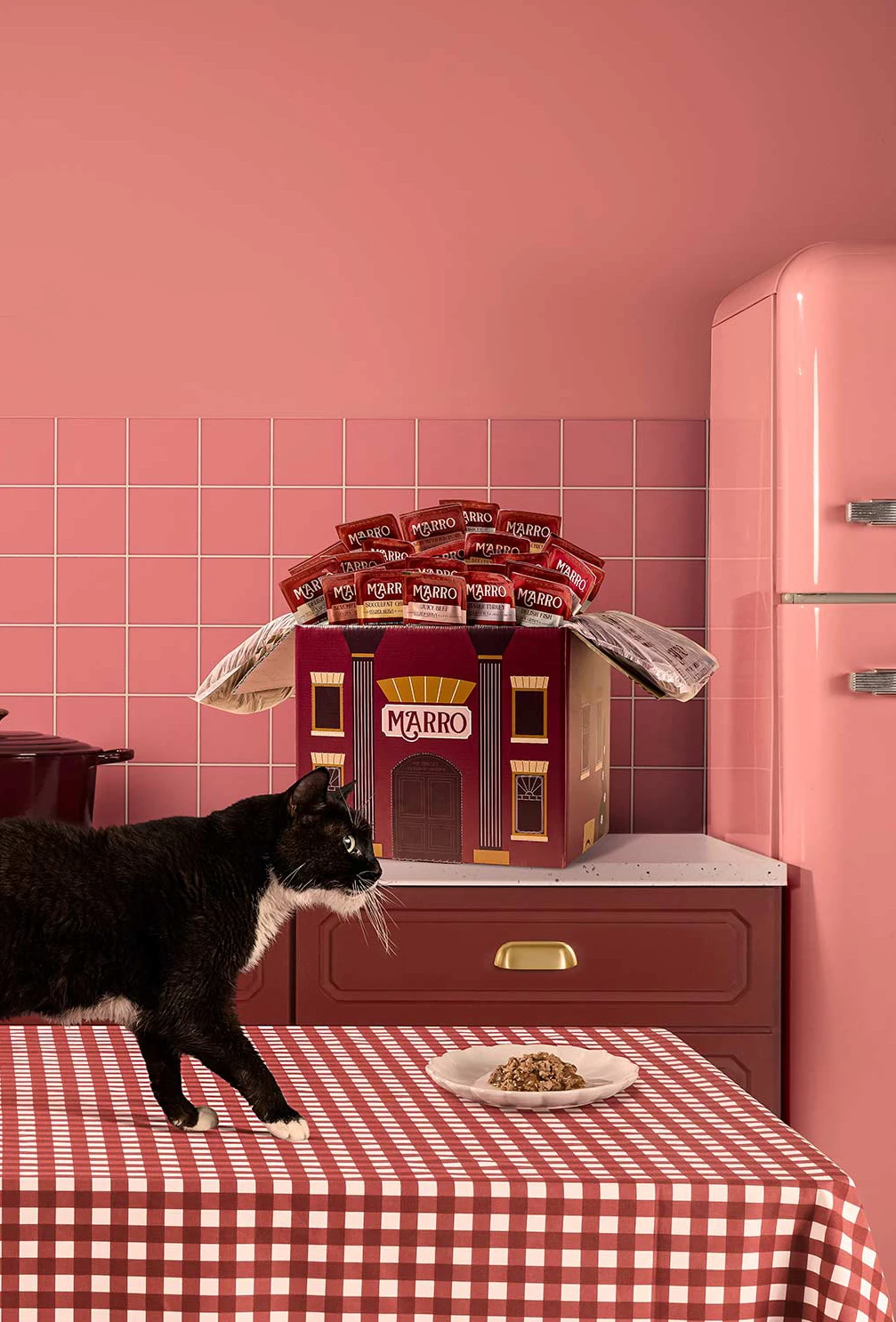 packshot-animals-black-cat-pink-kitchen-softlight-nov25