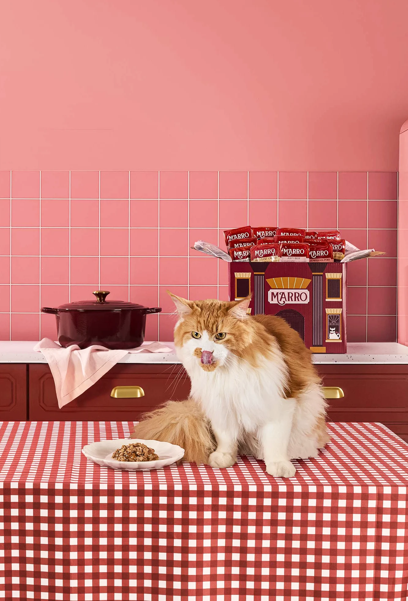 packshot-animals-cat-eating-pink-kitchen-nov25