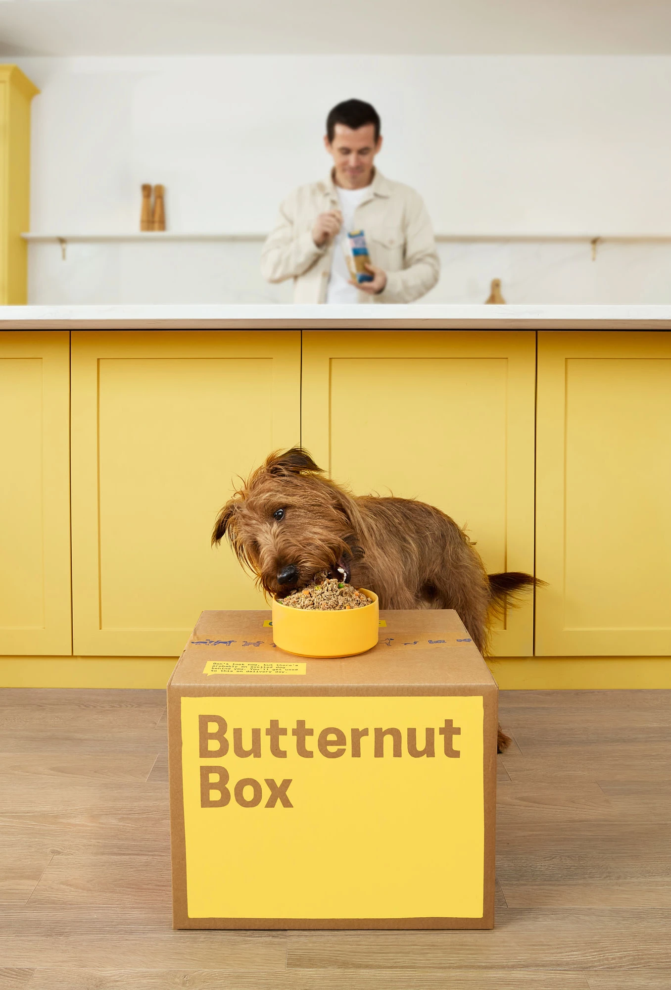 packshot-animals-dog-eating-kitchen-naturallight-nov25