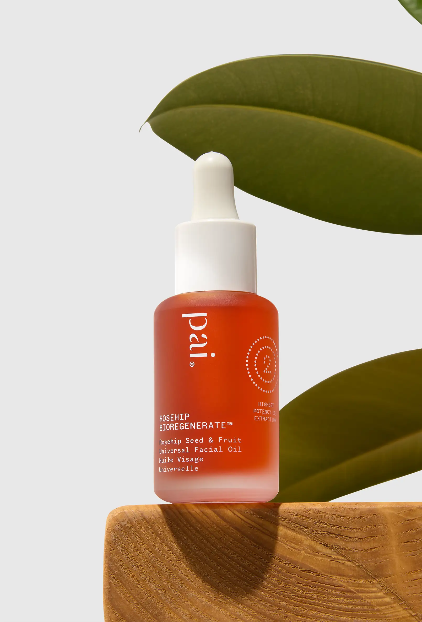 packshot-cosmetics-pai-rosehip-oil-wooden-shelf-nov25