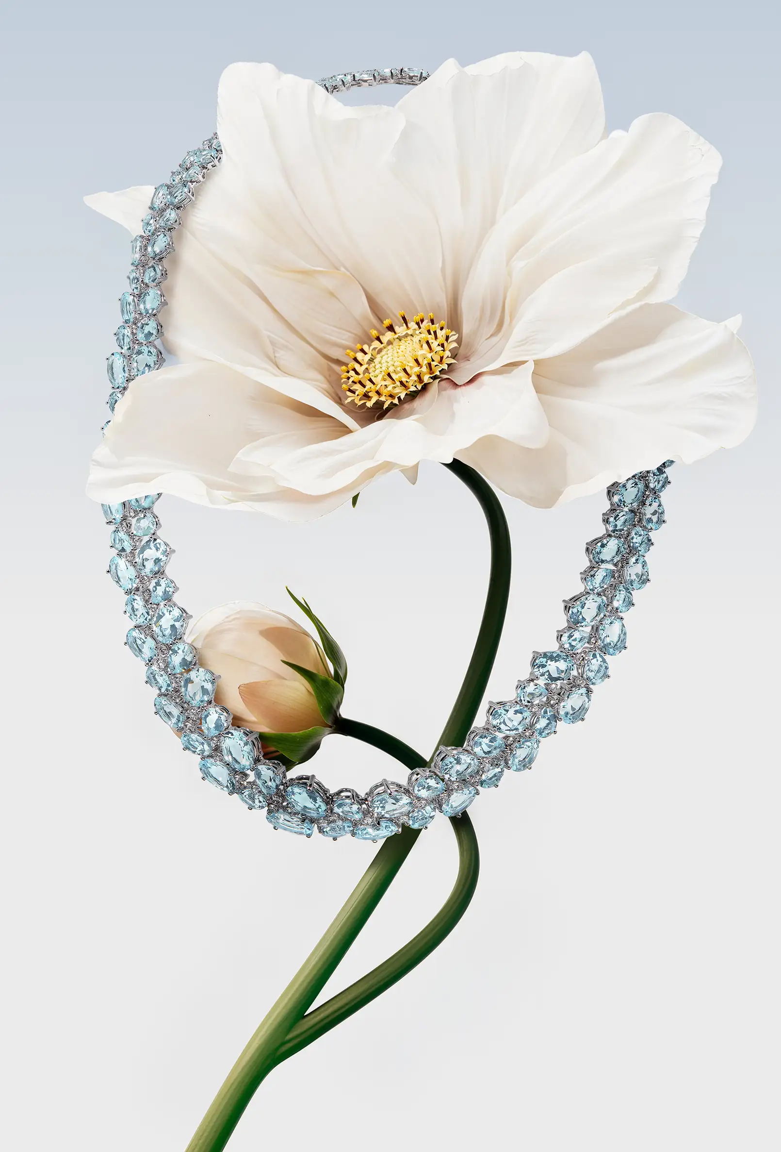 packshot-jewellery-crystal-necklace-softlight-nov25