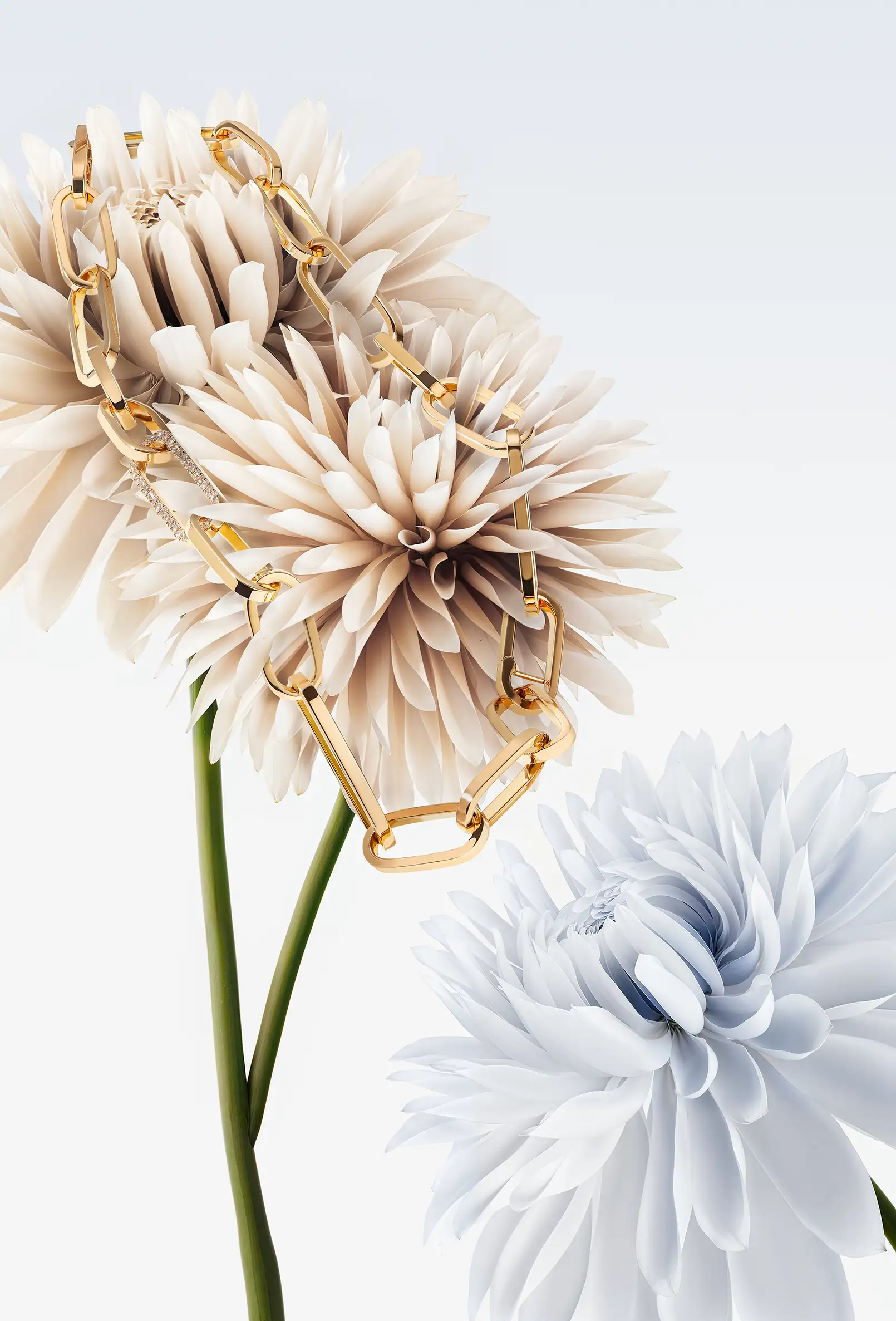 packshot-jewellery-gold-chain-flower-softlight-nov25