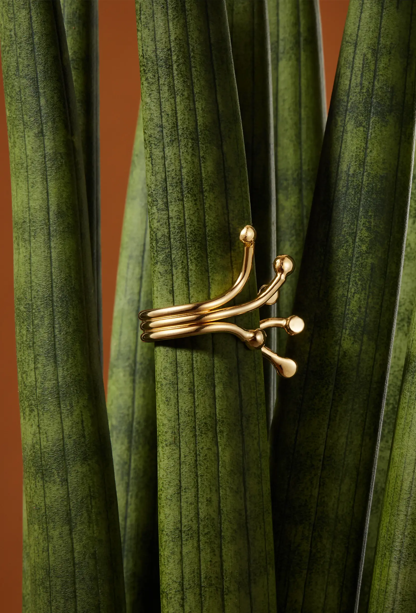 packshot-jewellery-gold-ring-palmleaf-softlight-nov25